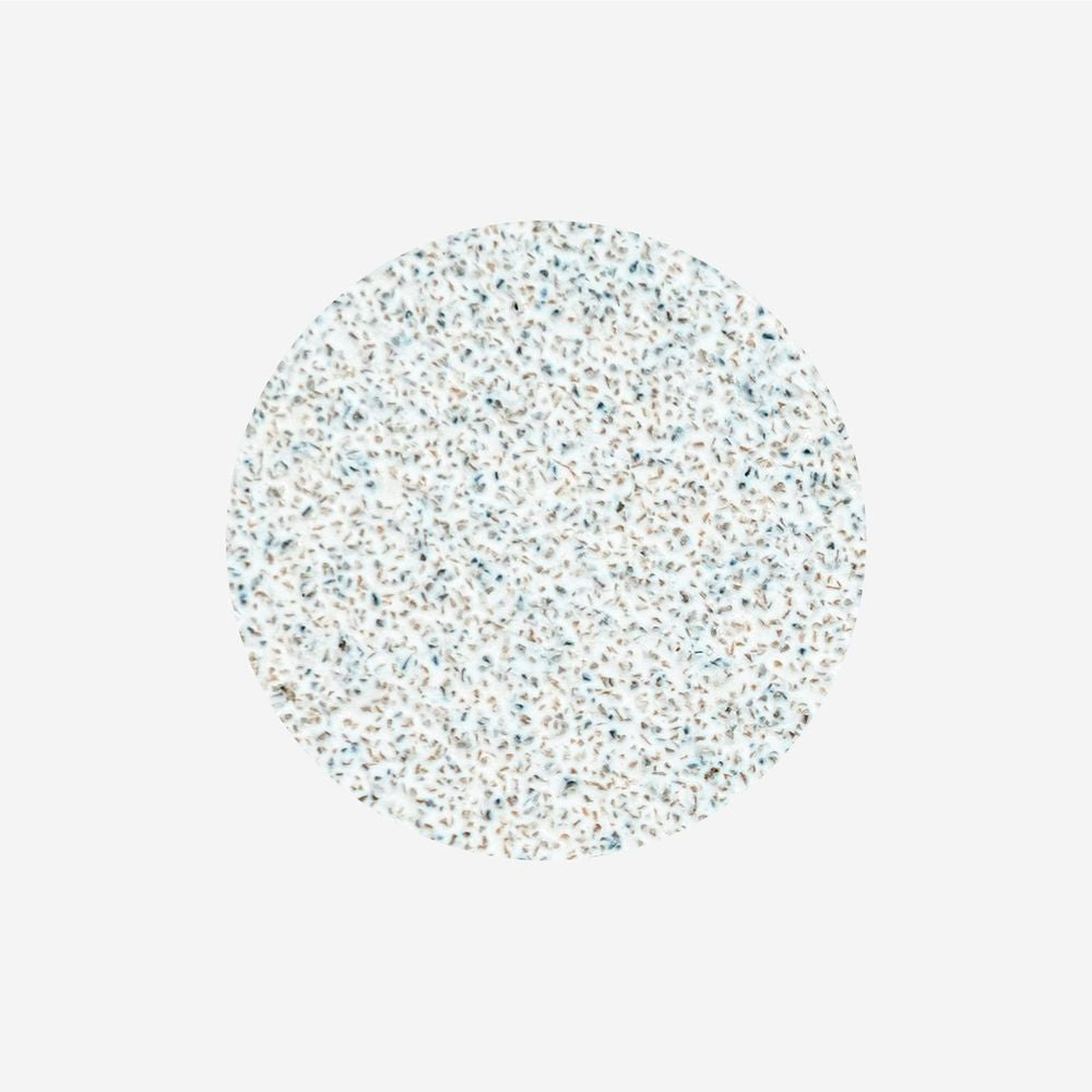 STALEKS PRO: L PODODISC: WHITE DISPOSABLE FILES SOFT BASE FOR PEDICURE DISC 25MM WHITE (80 GRIT-50 PCS)